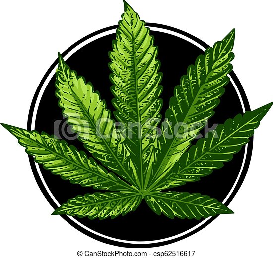 Detail Transparent Weed Nomer 47