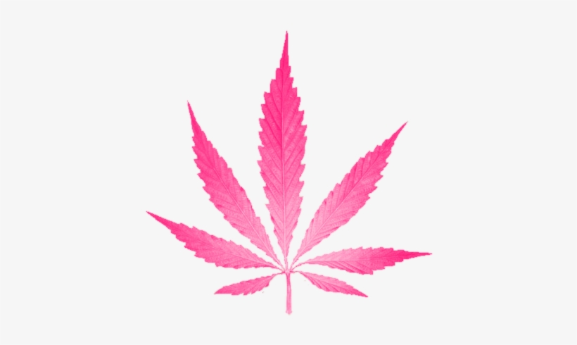 Detail Transparent Weed Nomer 52