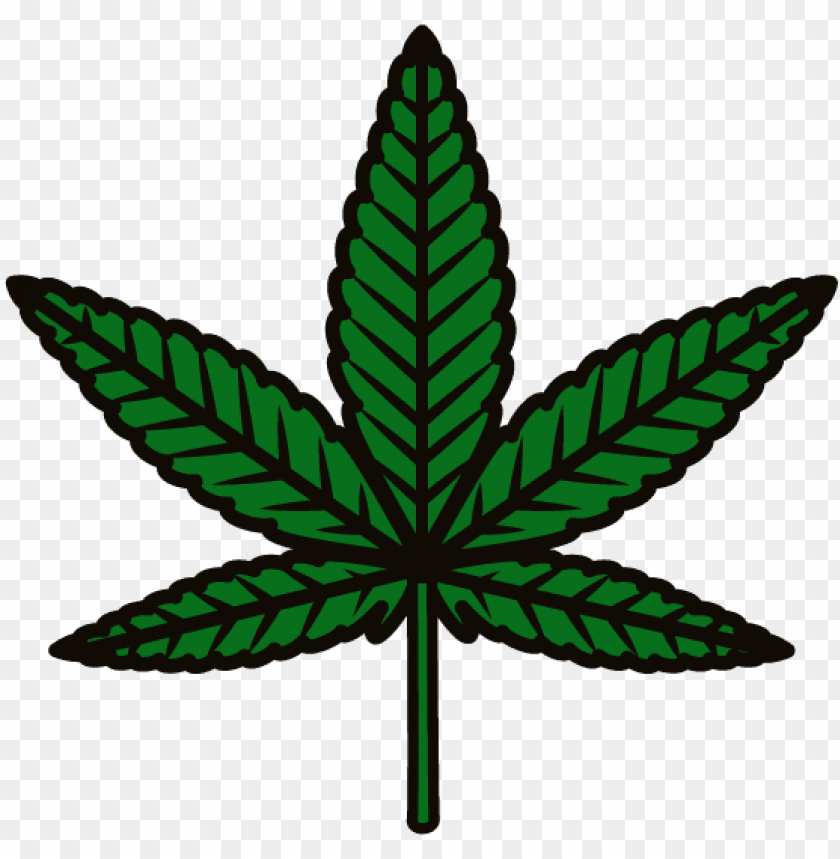 Detail Transparent Weed Nomer 53
