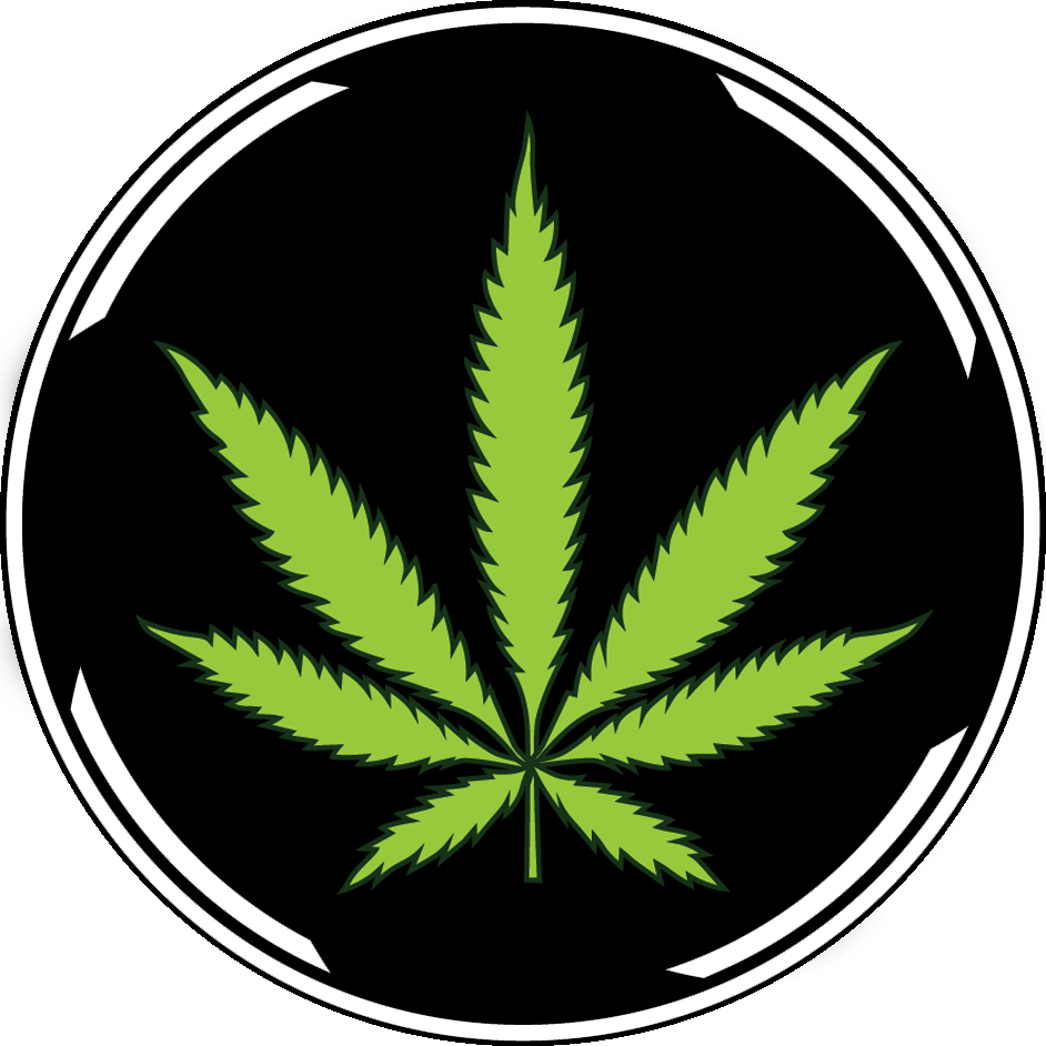 Detail Transparent Weed Nomer 54