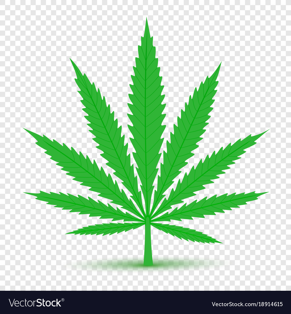 Detail Transparent Weed Nomer 7