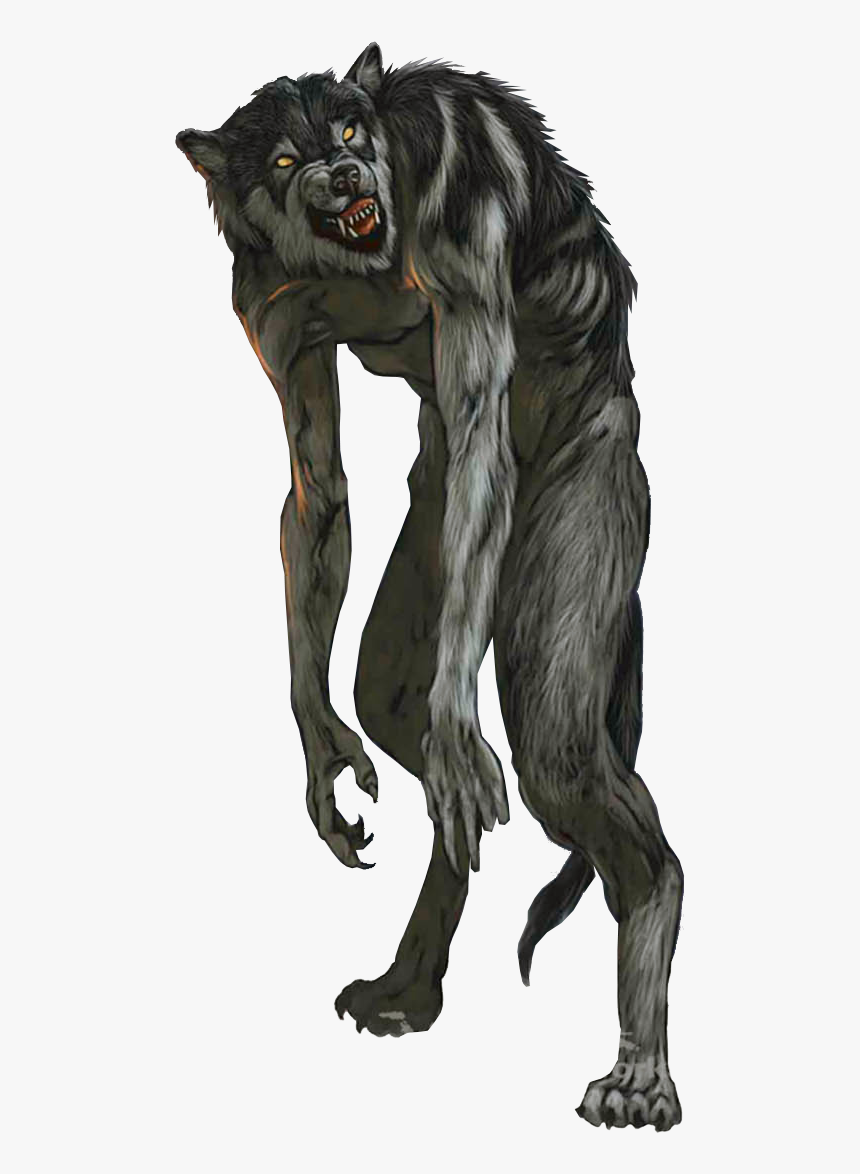 Detail Transparent Werewolf Nomer 7