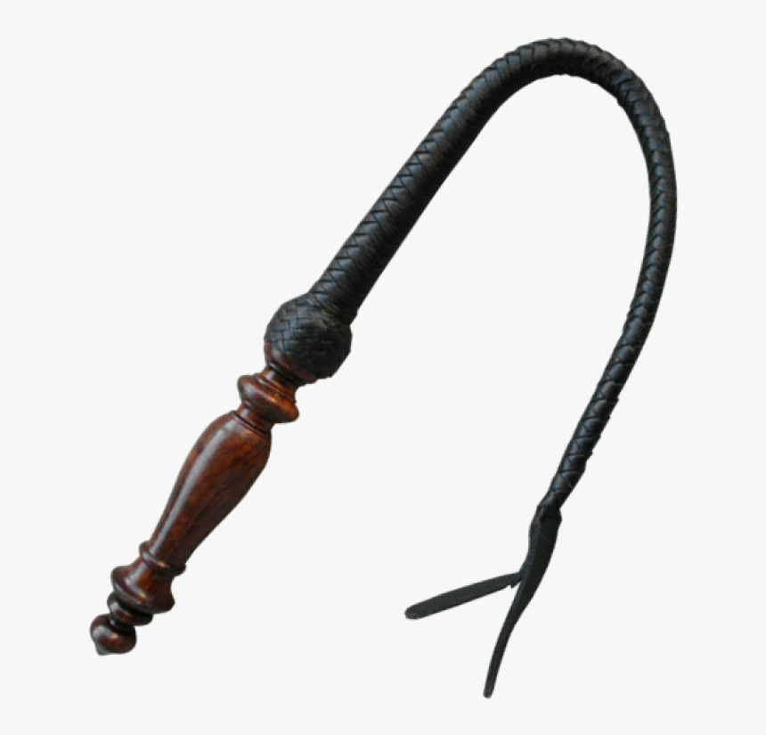 Detail Transparent Whip Nomer 4