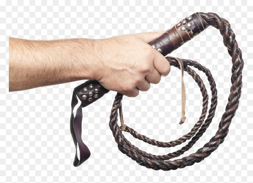 Detail Transparent Whip Nomer 10