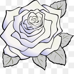 Detail Transparent White Rose Nomer 44