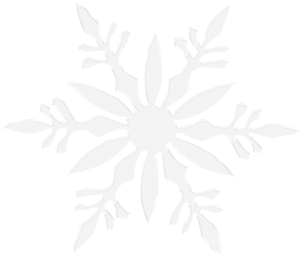 Detail Transparent White Snowflake Nomer 48