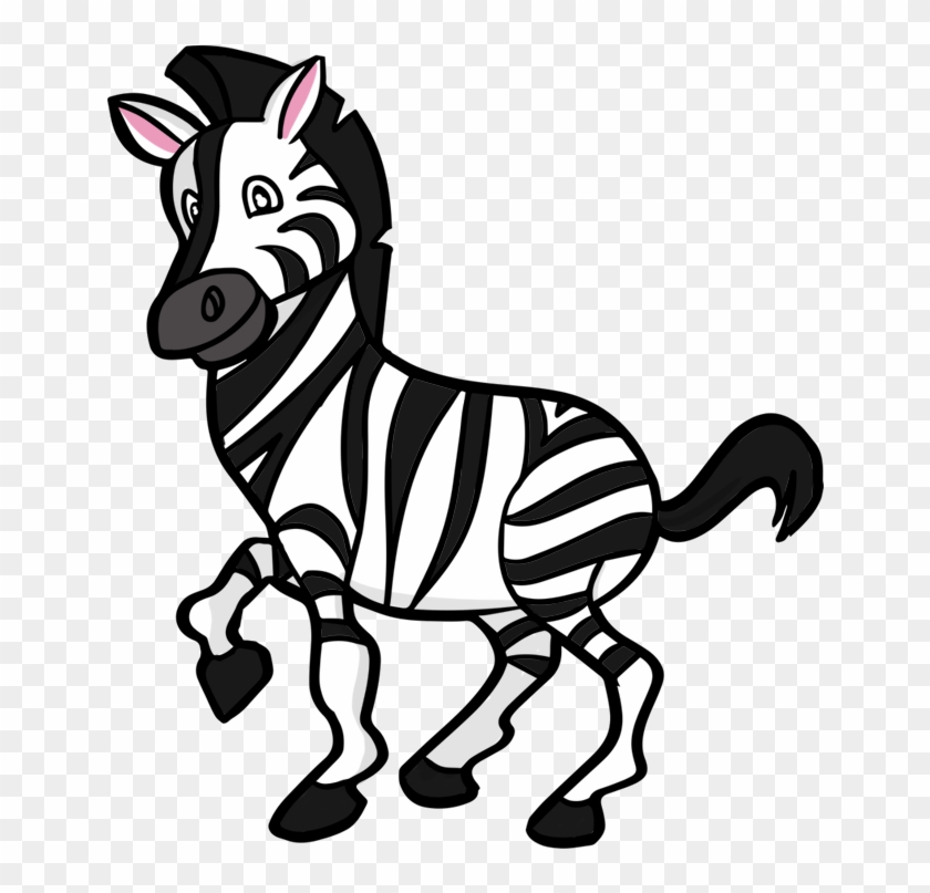 Detail Transparent Zebra Nomer 48