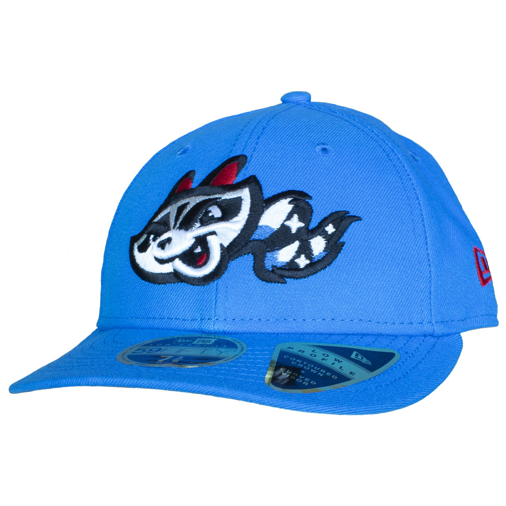 Detail Trash Panda Baseball Hat Nomer 2