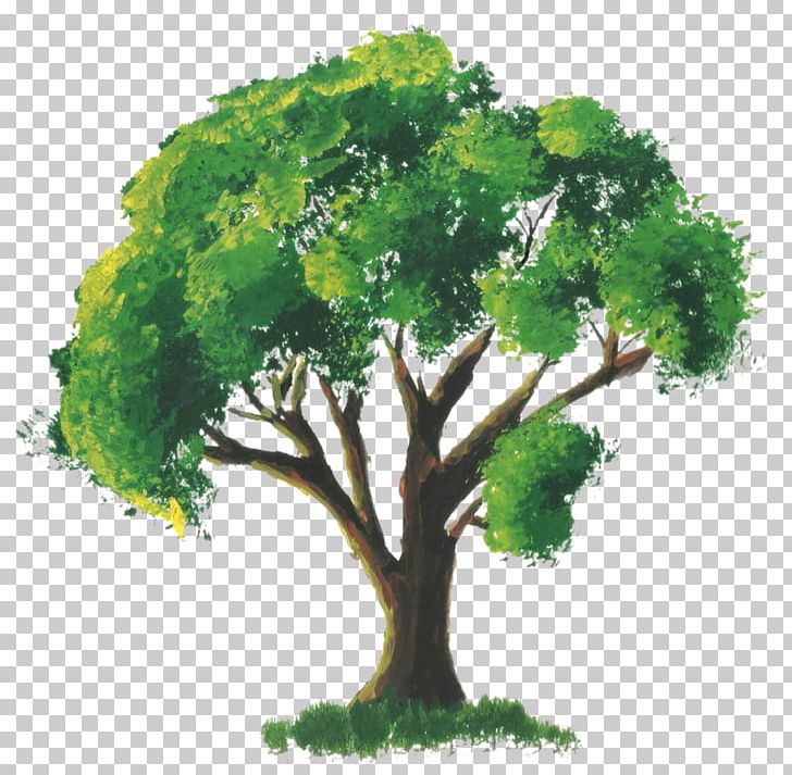 Detail Tree Art Png Nomer 8