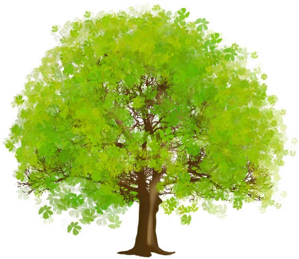 Detail Tree Art Png Nomer 14