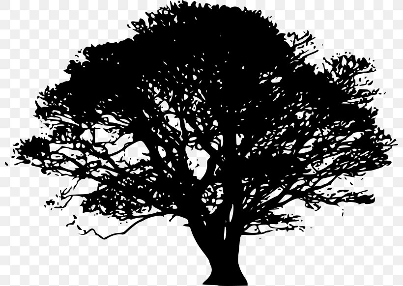 Detail Tree Art Png Nomer 25