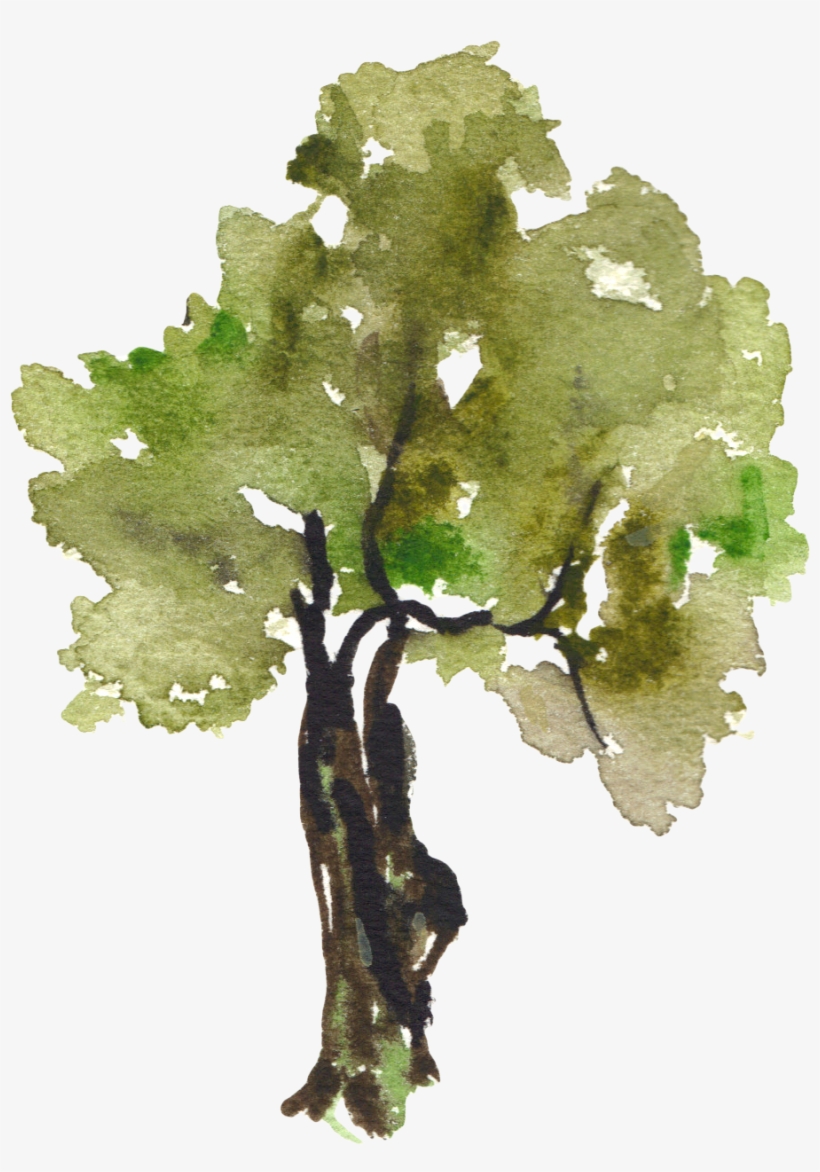 Detail Tree Art Png Nomer 40