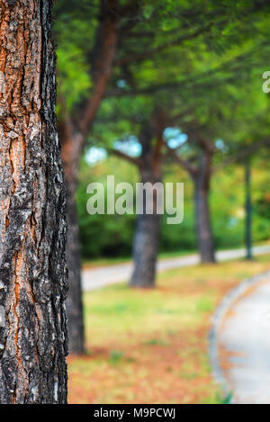 Detail Tree Background Hd Nomer 26