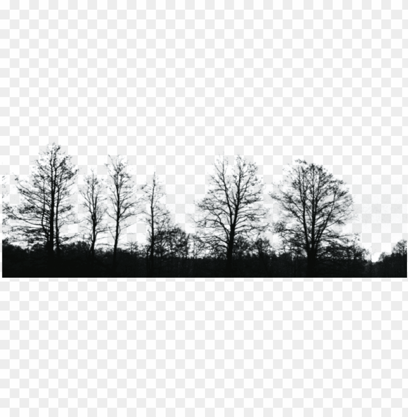 Detail Tree Background Png Nomer 33