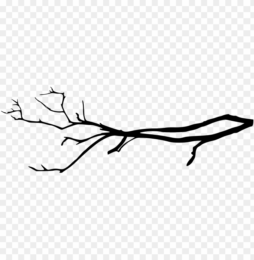 Detail Tree Branch Png Nomer 10