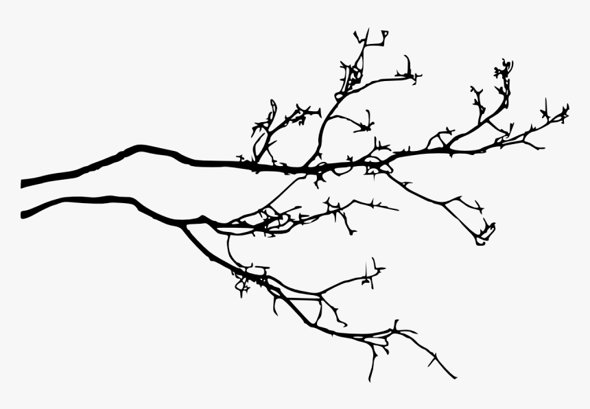 Detail Tree Branch Png Nomer 12