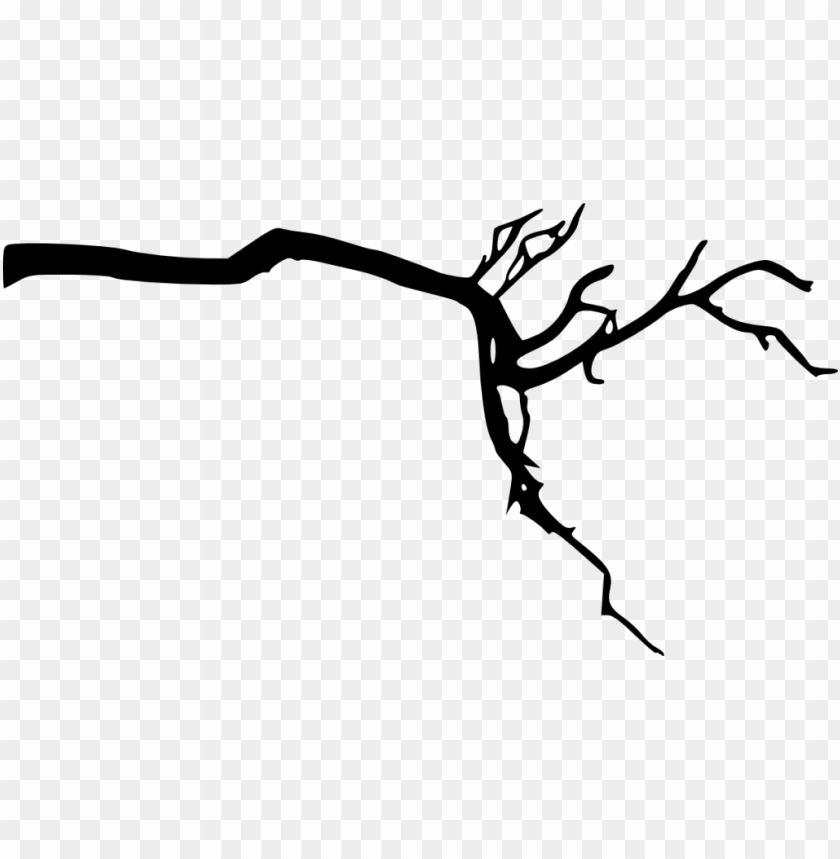 Detail Tree Branch Png Nomer 14