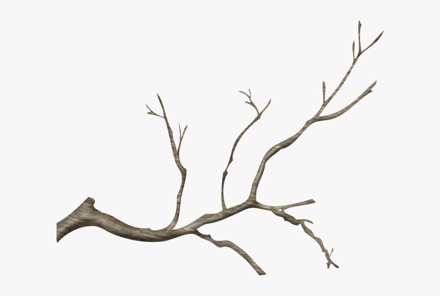 Detail Tree Branch Png Nomer 3