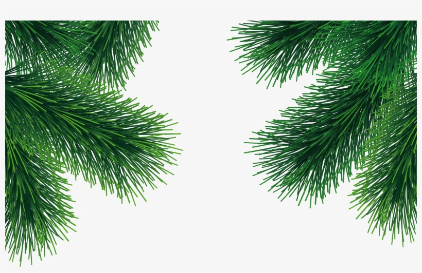 Detail Tree Branch Png Nomer 24