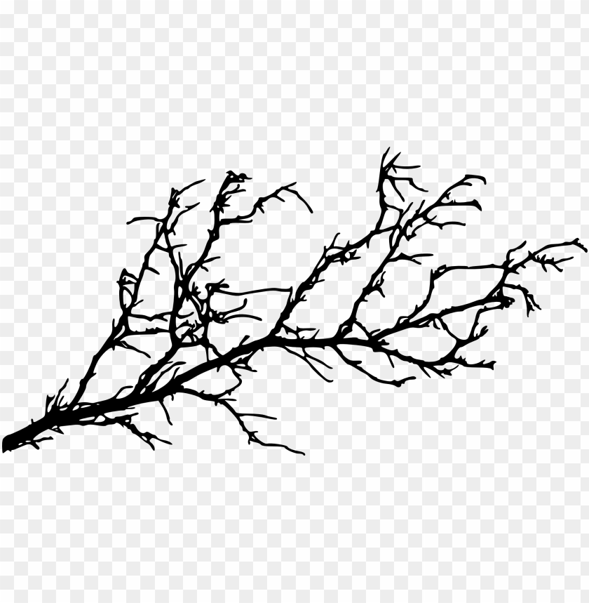 Detail Tree Branch Png Nomer 32
