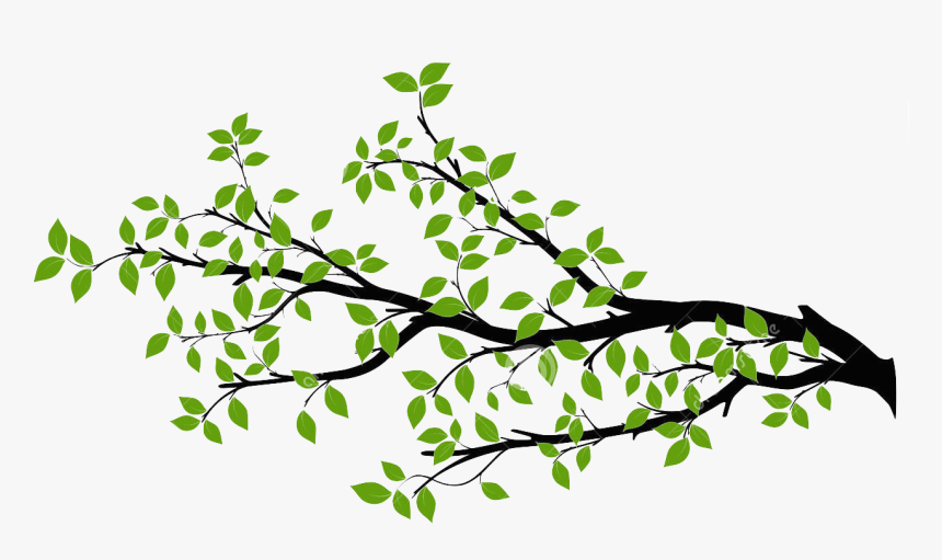 Detail Tree Branch Png Nomer 35