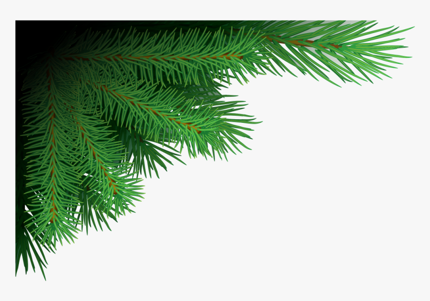 Detail Tree Branch Png Nomer 36