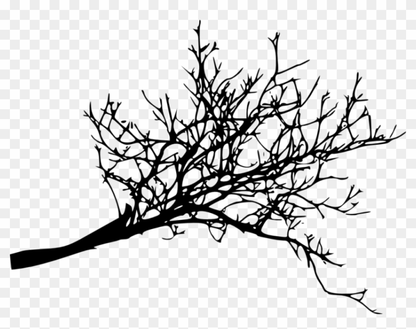 Detail Tree Branch Png Nomer 38