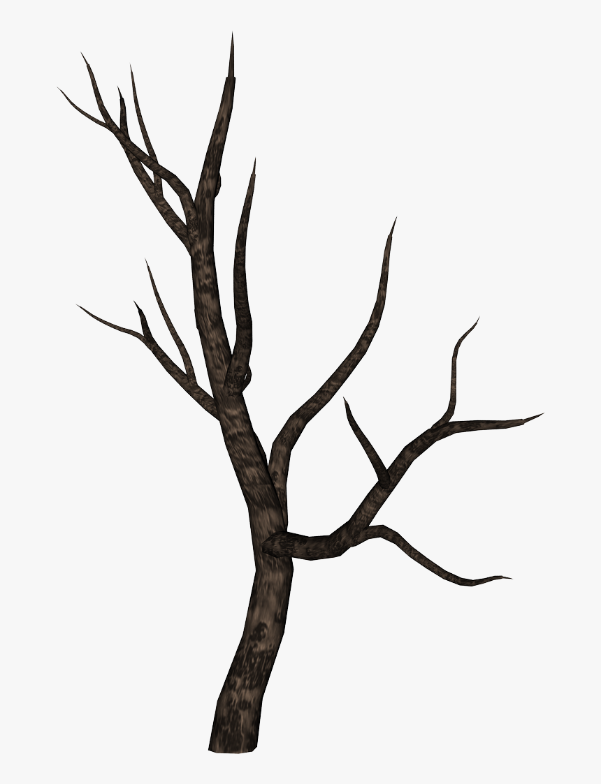 Detail Tree Branch Png Nomer 40