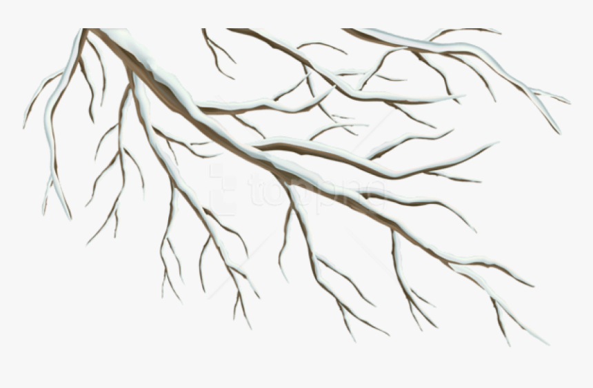 Detail Tree Branch Png Nomer 41