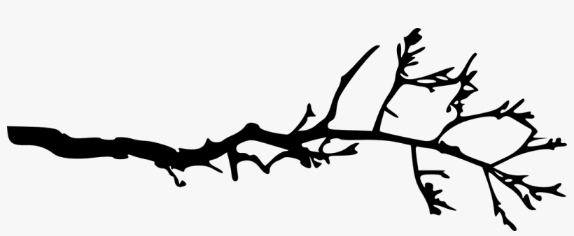 Detail Tree Branch Png Nomer 42
