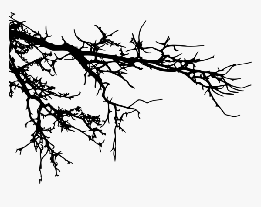 Detail Tree Branch Png Nomer 43