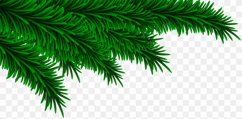 Detail Tree Branch Png Nomer 49