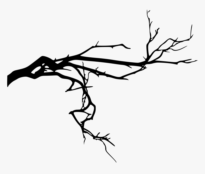 Detail Tree Branch Png Nomer 50