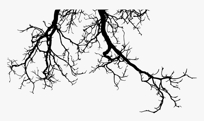 Detail Tree Branch Png Nomer 51