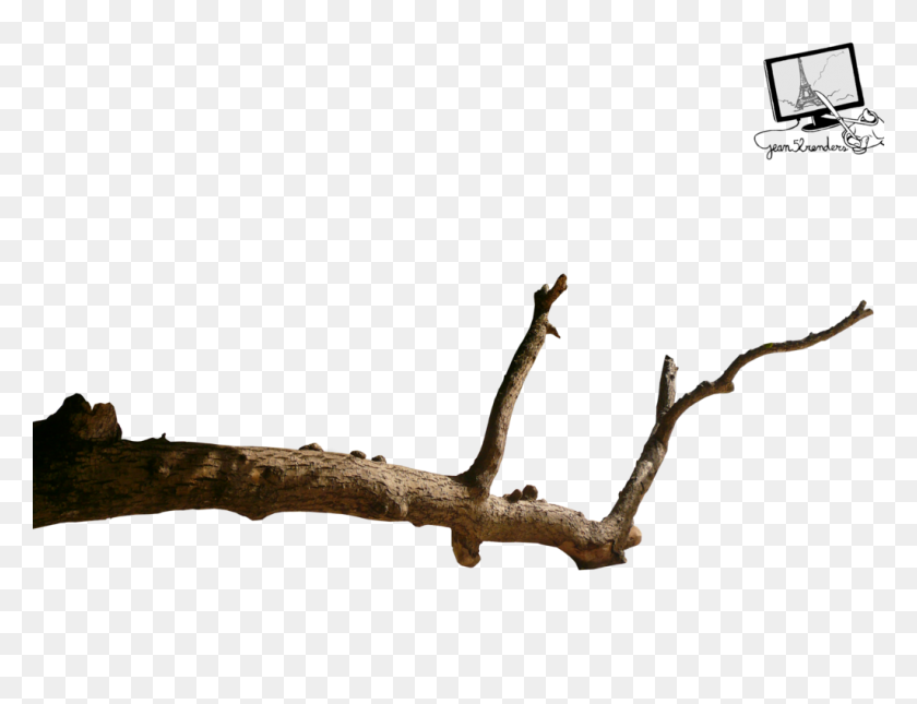 Detail Tree Branch Png Nomer 7