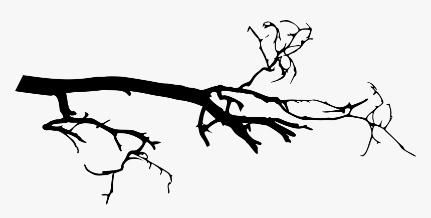 Detail Tree Branch Png Nomer 8