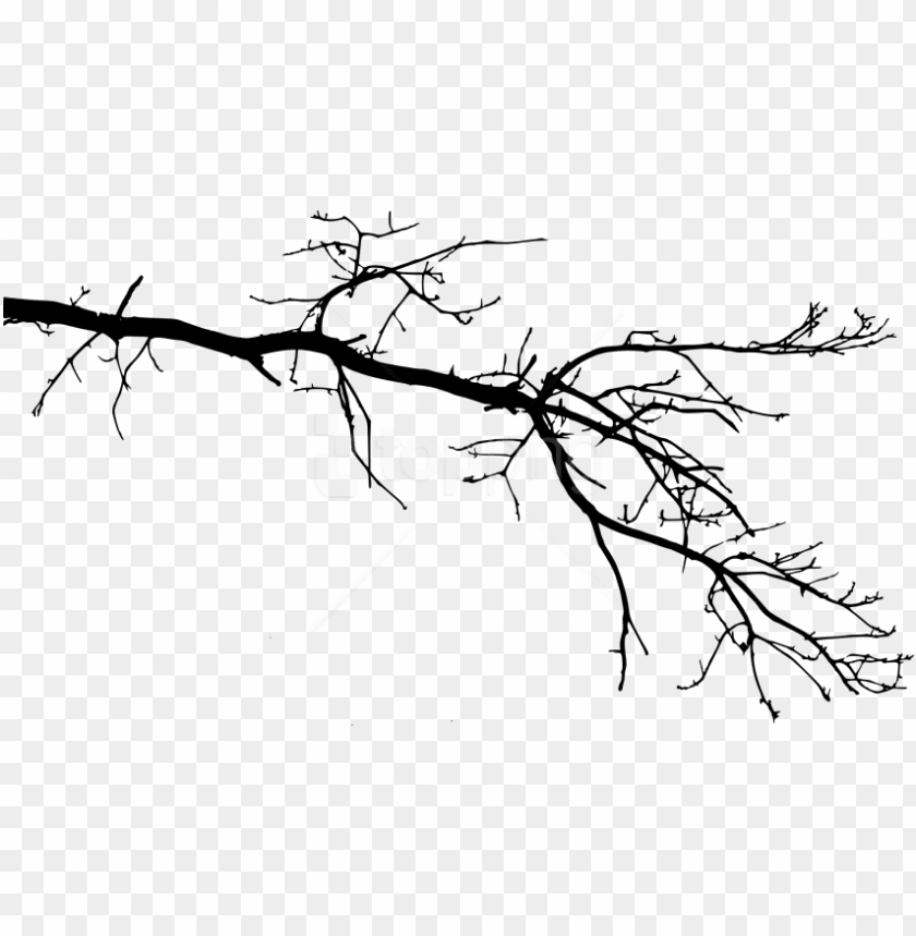 Detail Tree Branch Png Nomer 9