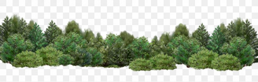 Detail Tree Bush Png Nomer 11