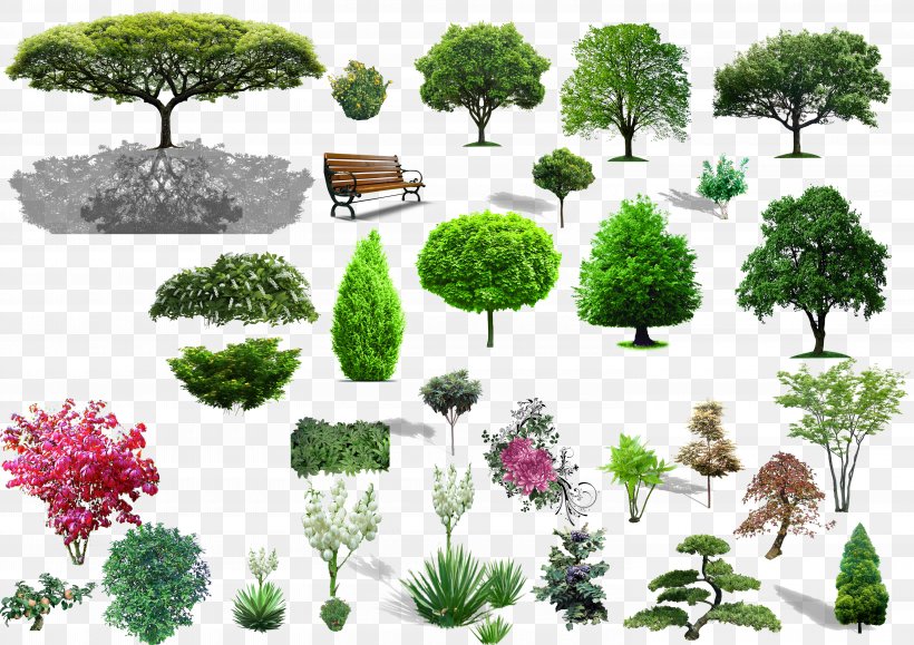 Detail Tree Bush Png Nomer 38