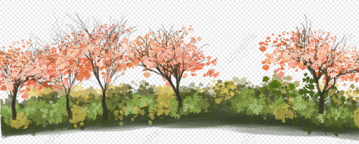 Detail Tree Bush Png Nomer 39