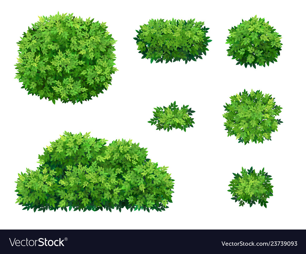 Detail Tree Bushes Pictures Nomer 50