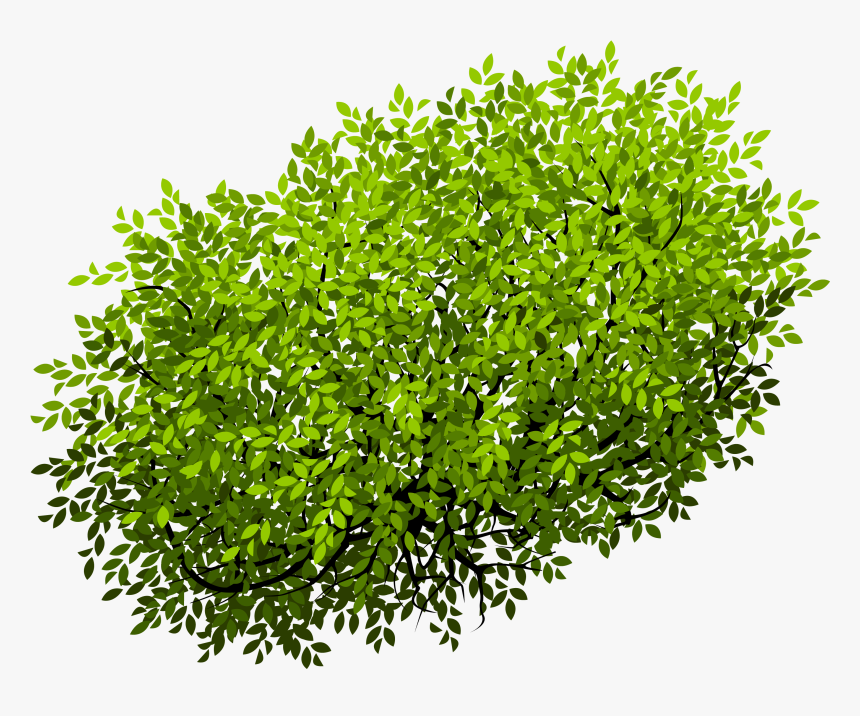 Detail Tree Bushes Png Nomer 27