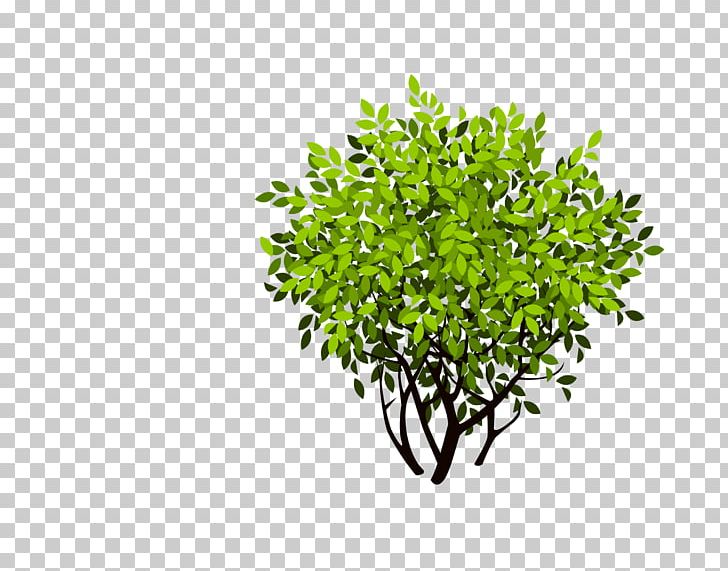 Detail Tree Bushes Png Nomer 49