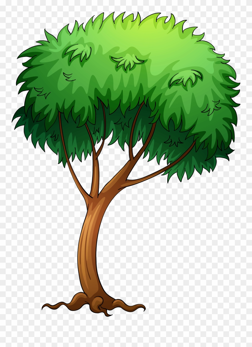 Detail Tree Cartoon Png Nomer 6