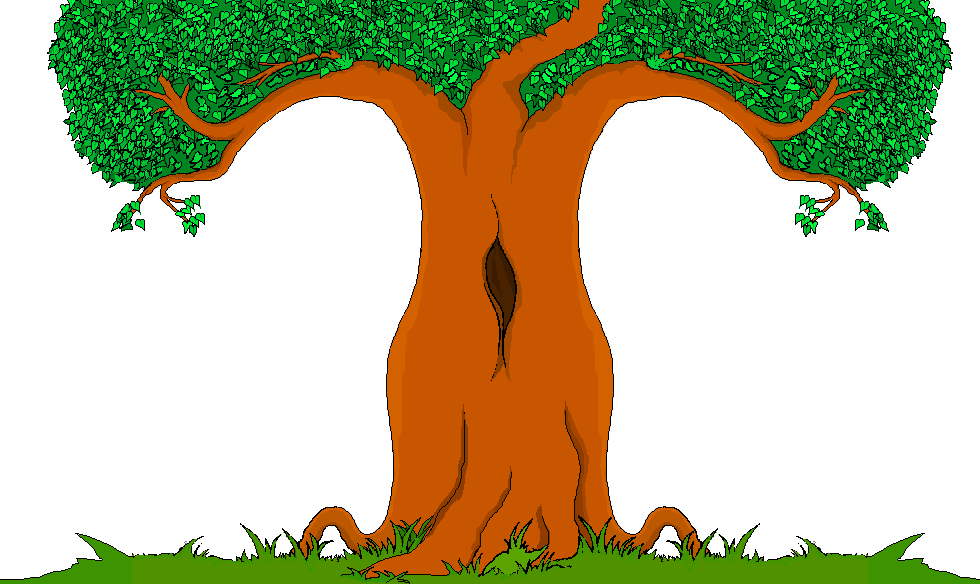 Detail Tree Cartoon Png Nomer 26