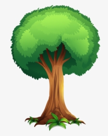 Detail Tree Cartoon Png Nomer 32