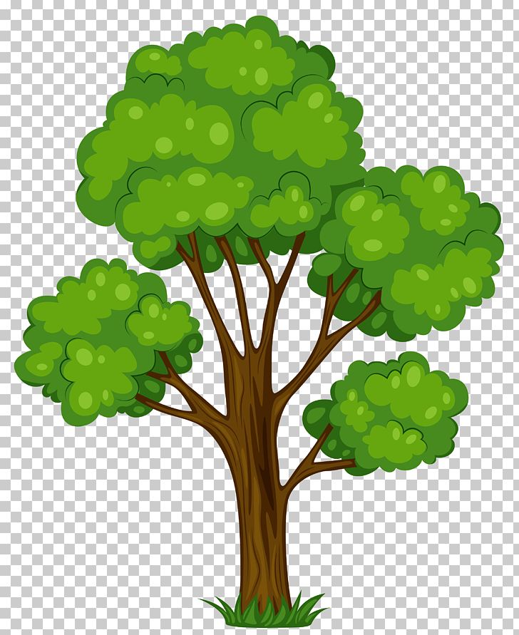 Detail Tree Cartoon Png Nomer 2