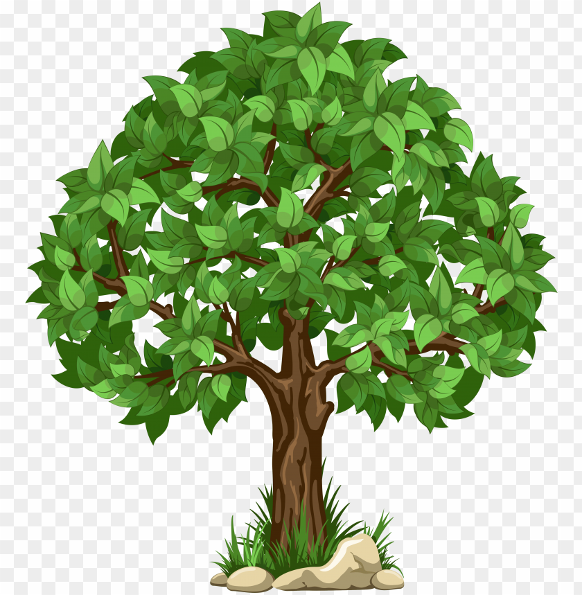 Detail Tree Clear Background Nomer 17