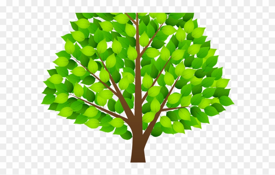 Detail Tree Clear Background Nomer 23