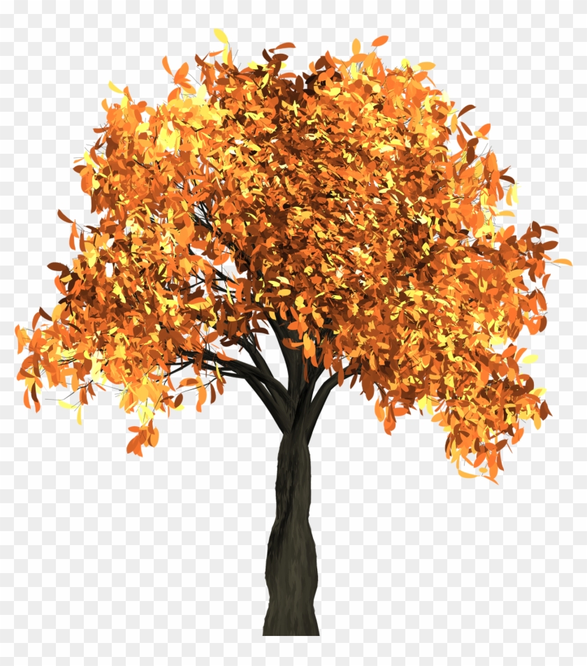 Detail Tree Clear Background Nomer 35